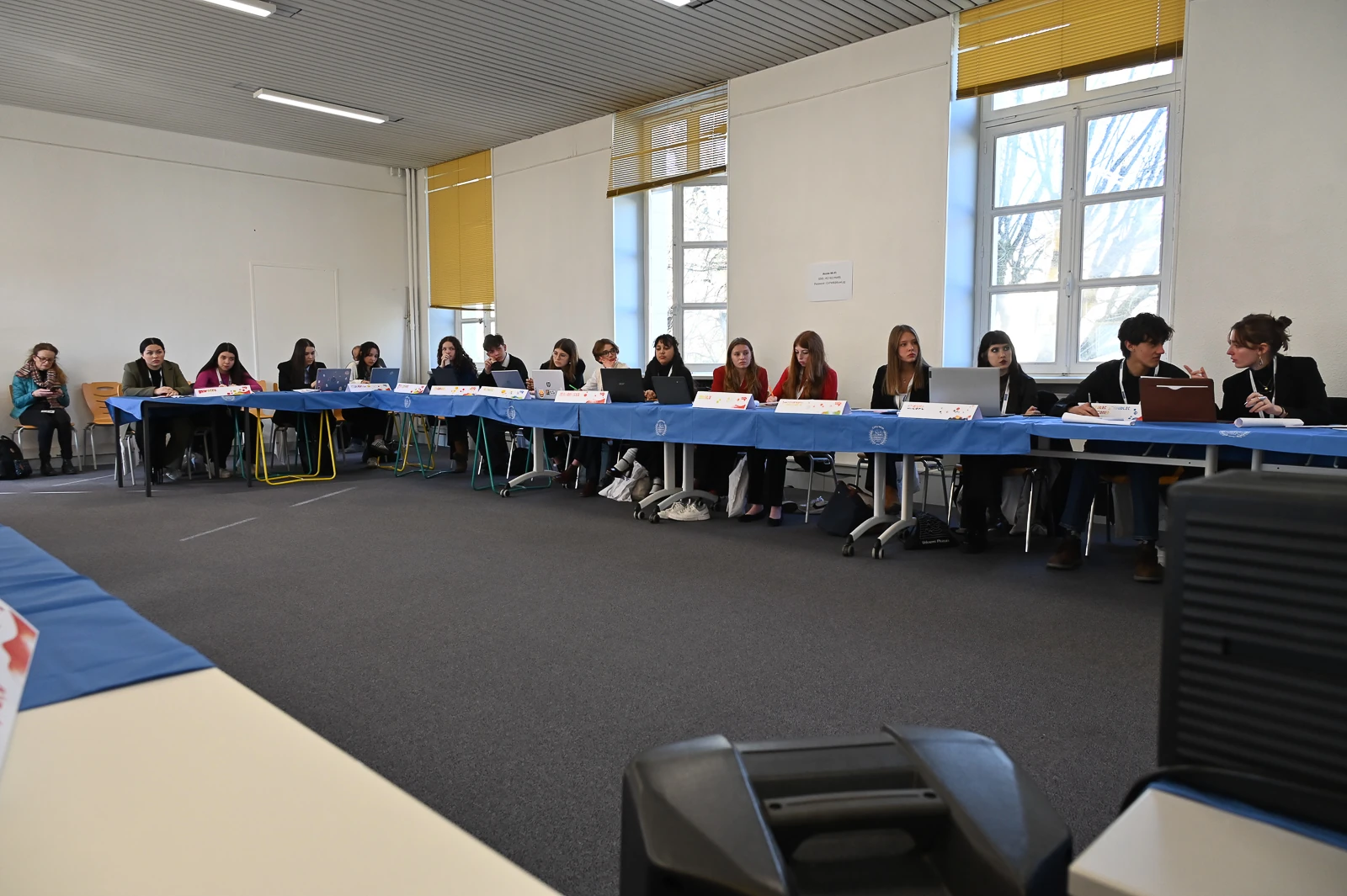 Image of the English-speaking committee UNHCR (2025)(2)