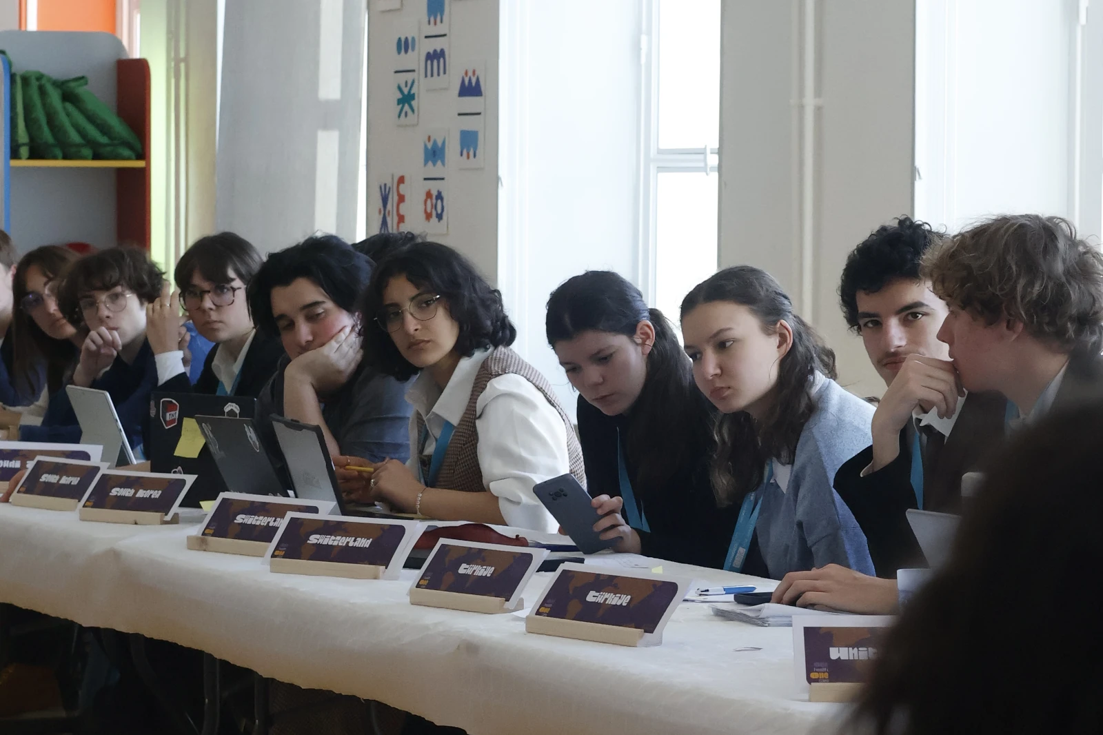 Image of the English-speaking committee ECOSOC (2026)(1)
